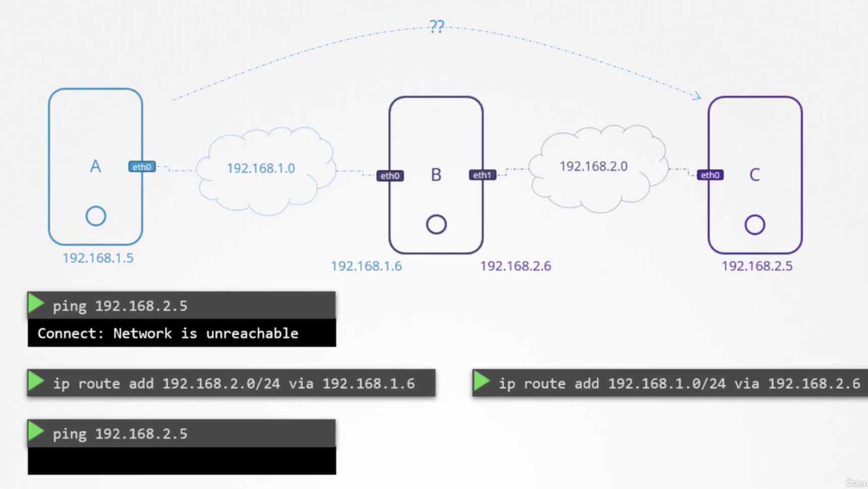 Network