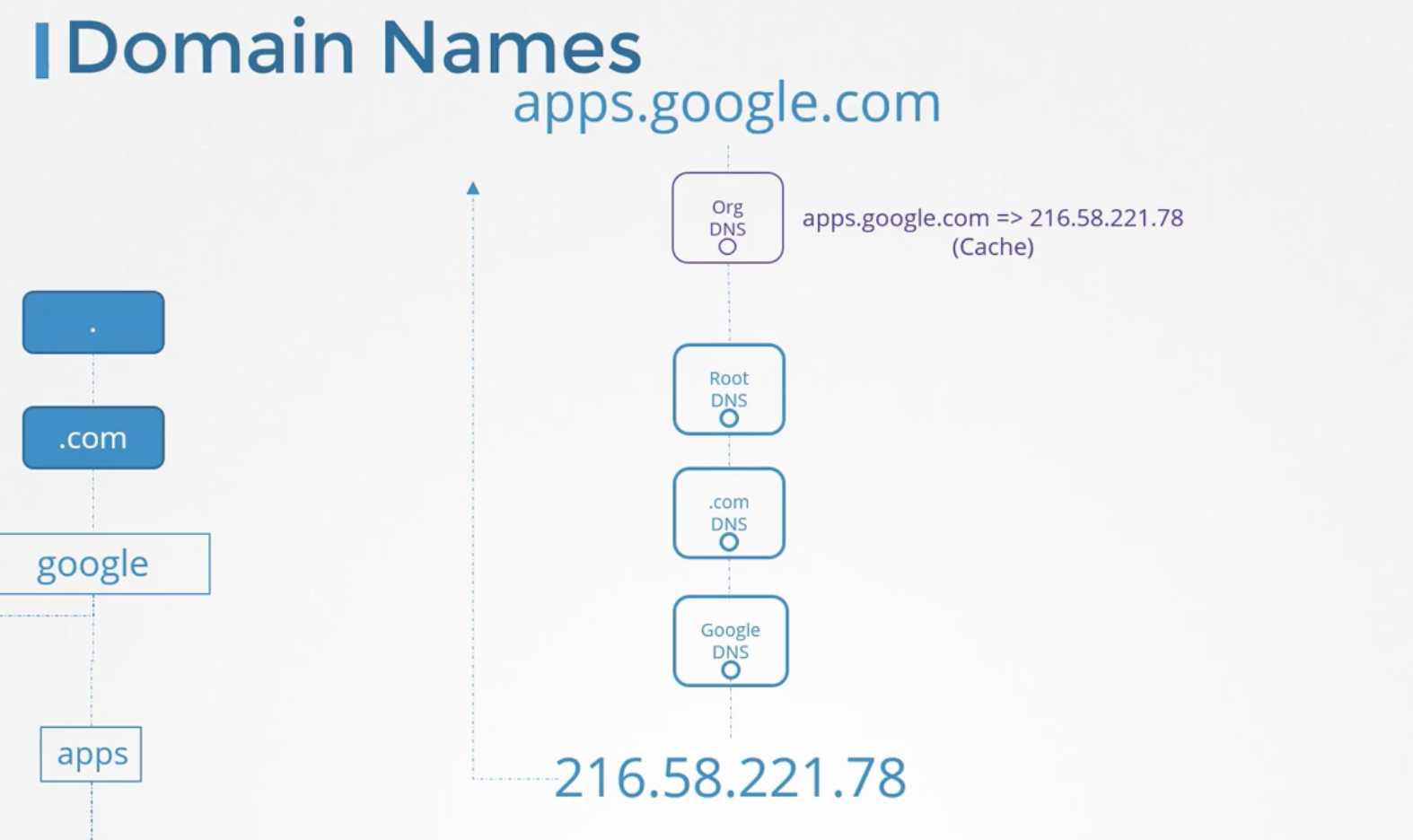 Network